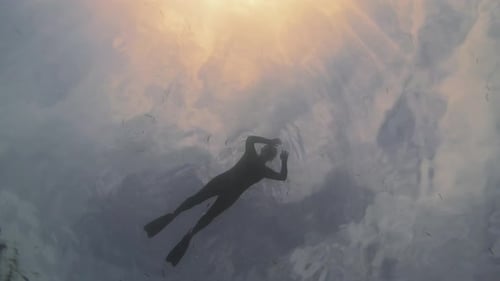 silhouetteof A Snorkeler floats peacefully on the surface of the water.