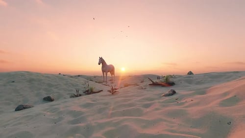 Horse Grazing in Desert Landscape at Sunset Animation