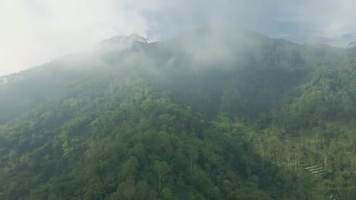 Sunlight over mountains forest shrouded in mist. Aerial view rural landscape of Indonesia.