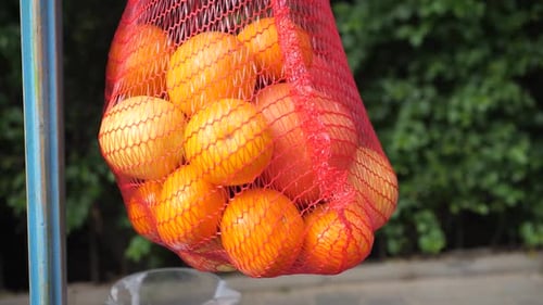 Fresh Orange Fruits in a red basket, Oranges on a blurred greenery background.