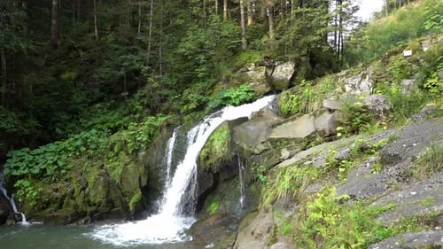 Mountain Waterfall in the Forest Green Nature
