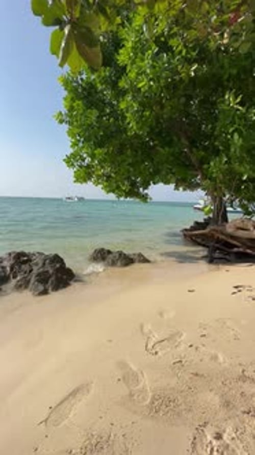 Tropical Beach