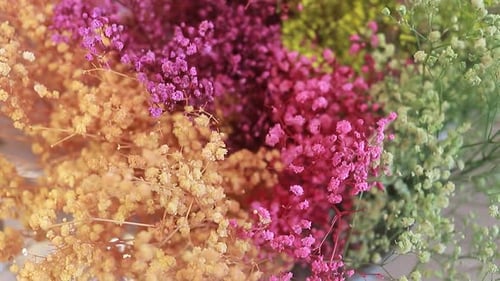 beautiful set of romantic multi-colored flowers, flower arrangement in store.