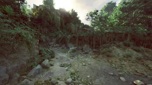 Sentier de gorge étroit bordé de pierres dangereuses et d'une flore luxuriante