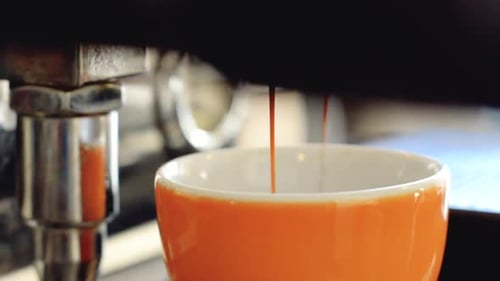 Coffee dripping through fresh coffee grounds into a cup from a professional coffee machine | Gourmet