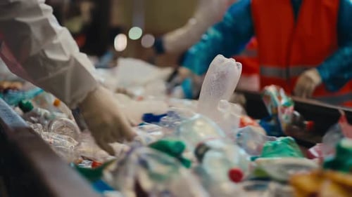 Workers sorting plastic bottles on conveyor belt for recycling