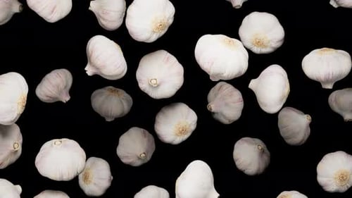 Endlessly Falling Garlic on Alpha