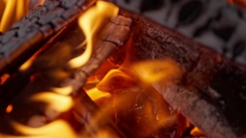 Burning Firewood Close-up with Fiery Flames and Glowing Embers