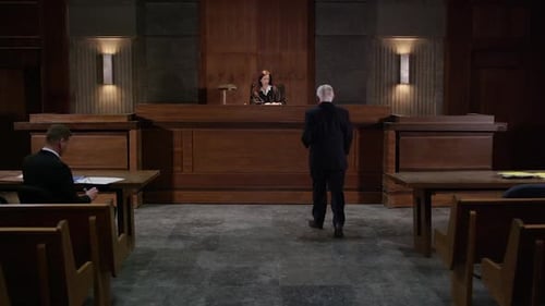 Attorney Submits Evidence to Judge in Courtroom