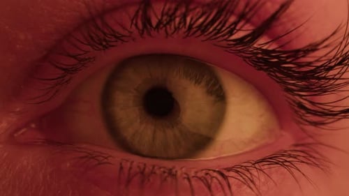 Macro Eye with Colorful Lighting Changing Rapidly