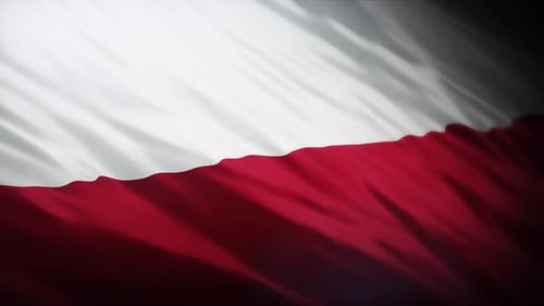 Realistic Waving Fabric Motion Background Loop