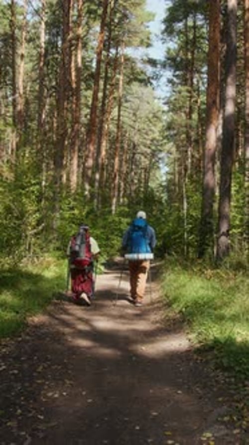 Two Hikers Navigating Dirt Path Through Dense Forest