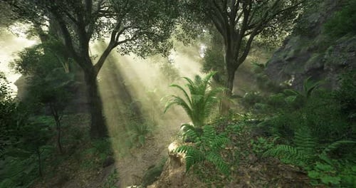 Lush Forest with Sunlight Filtering Through Trees in a Serene Setting