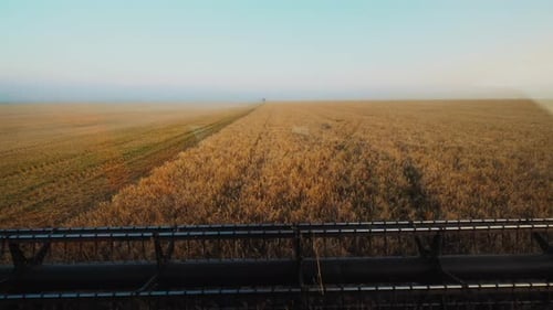 Harvesters for Harvesting Grain While Working View From the Combine Harvester Cab Harvesting