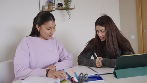 Young Women Studying Together in a Home