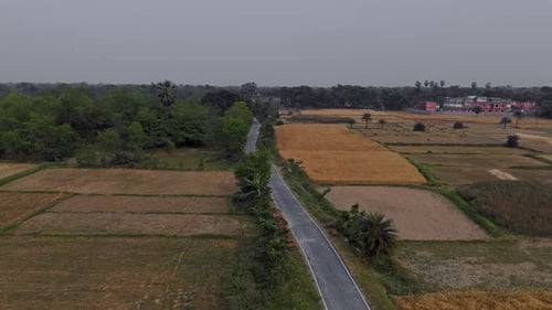 drone shot of a village field and forest
