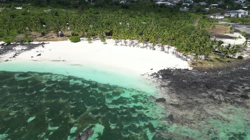 Drone footage of a pristine beach lined with palm trees and clear turquoise water