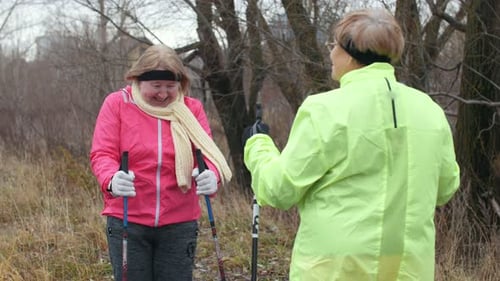 Senior women enjoy a conversation while Nordic walking