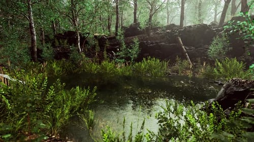 Forest Spring Landscape with Overgrown Pond