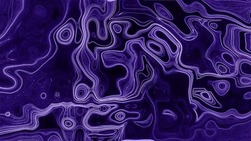 Fluid Abstract Purple Lines Flowing Motion Background Loop