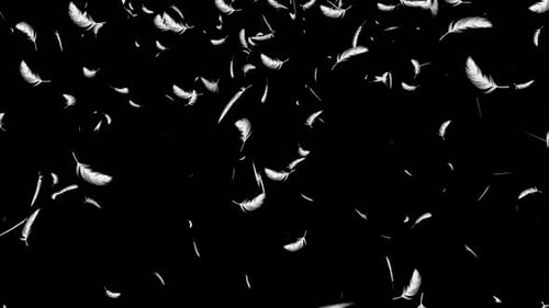Animación Feather Falling