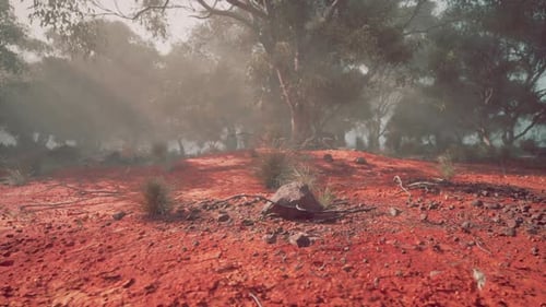 Red Dirt Field With Trees