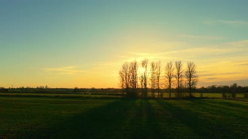 Green Agricultural Field Stretching Across Rural Countryside Under Golden Sunset Sky Bare Trees