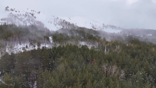 El Niño Winter