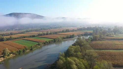 Aerial view of quiet river and forest in misty morning