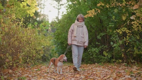 Woman Walking Dog Through Autumn Forest Trail