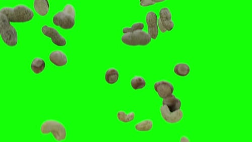 All Dry Fruits Falling on Green Screen Background With Alpha Matte