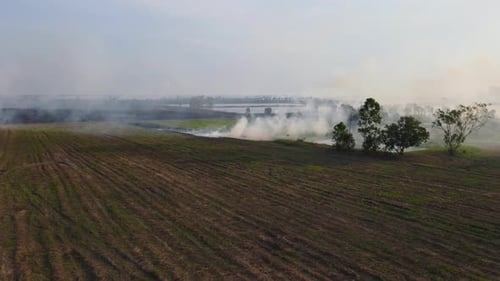 Smoke Billows Across Field in Agricultural Landscape