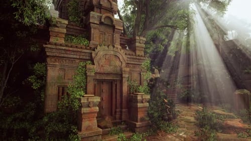 La lumière du soleil filtre à travers une forêt dense mettant en valeur les ruines d'anciens temples