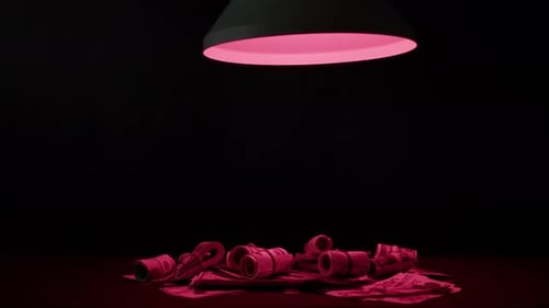 Money Piled on Table under Pink Light