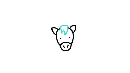 Horse Line Animated Icon