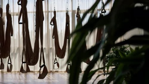 light white beautiful empty hall with brown canvases for fly yoga and meditation with flowers