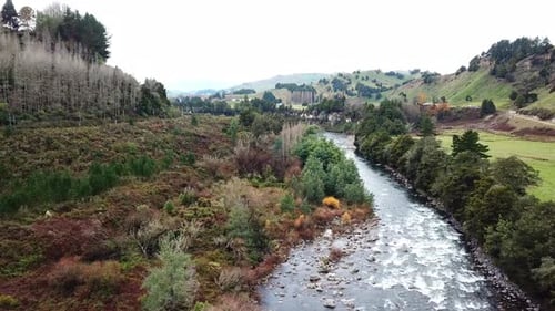 Drone shot, truck right over river and bush in New Zealand.