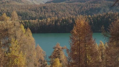 view through trees to lake in autumn landscape. large colorful autumn forest.