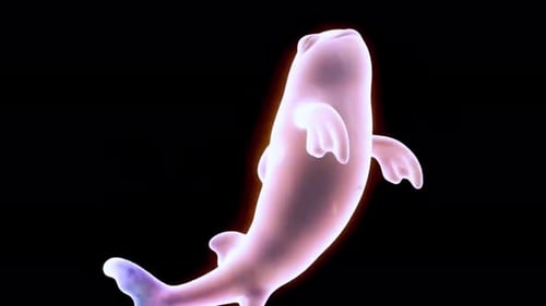 Fluid Glowing Translucent Animal Animations Collection