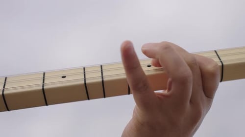 Traditional Turkish instrument saz, baglama.