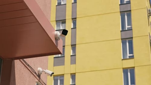 Close Up in a Restaurant on the Street on Plank Table a Blue Vertical Video Plate with a Warm Salad