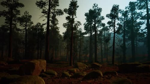 Cinematic Walk Through a Realistic Dark Forest