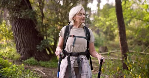 Hiking, thinking and mature woman in nature, woods and sightseeing of environment