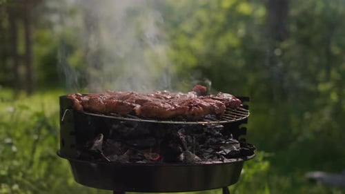 Meat Sizzling on Smoky Grill in Nature