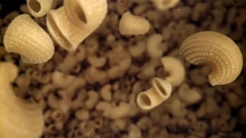 Macaroni Pasta Falling in Slow Motion