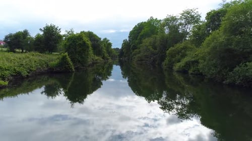 Aerial View on River and Forest