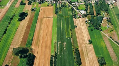 Aerial view of green fields and sun in the sky. Beautiful view of endless green agricultural field i