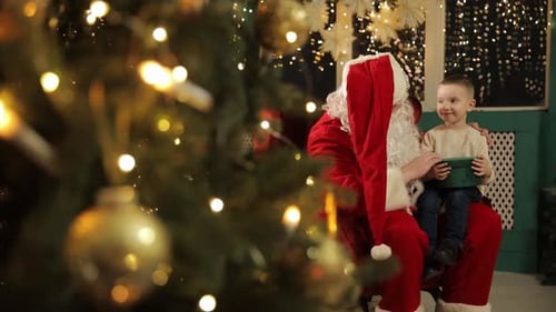 Boy Sitting on Santa's Lap by Christmas Tree