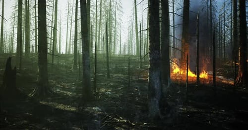 Forest Engulfed in Flames While Smoke Rises in the Background at Twilight