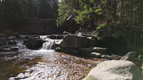 a Mountain Stream of Crystal Clear Cool Spring Fresh Water Flows Among Stones and Rocks in a Pine